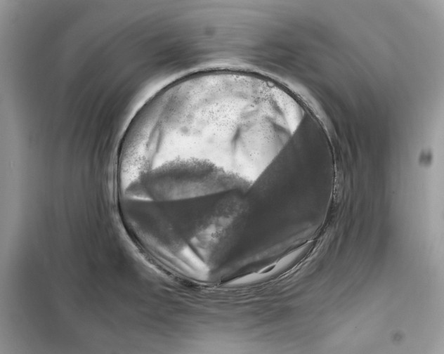 X0000099291295200805231312