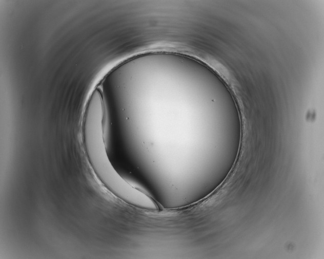 X0000099291296200805231312