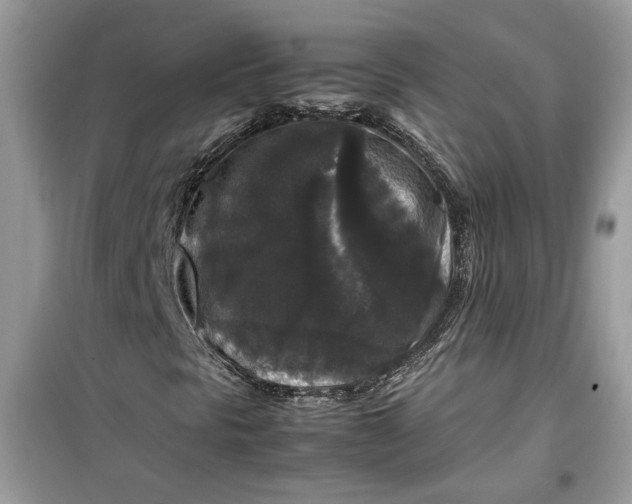 X0000099291297200805231311