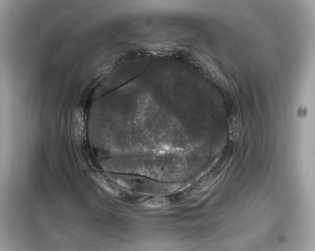 X0000099291298200805231311