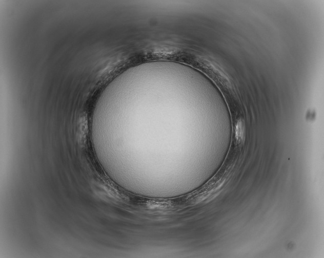 X0000099291299200805231311