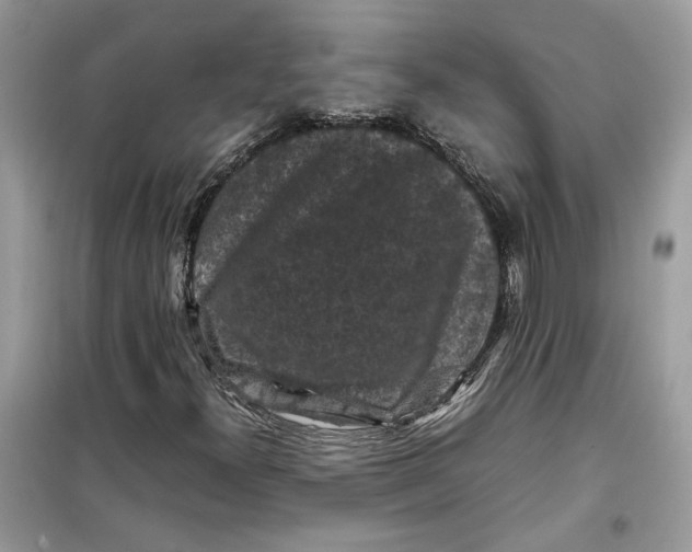 X0000099291300200805231311