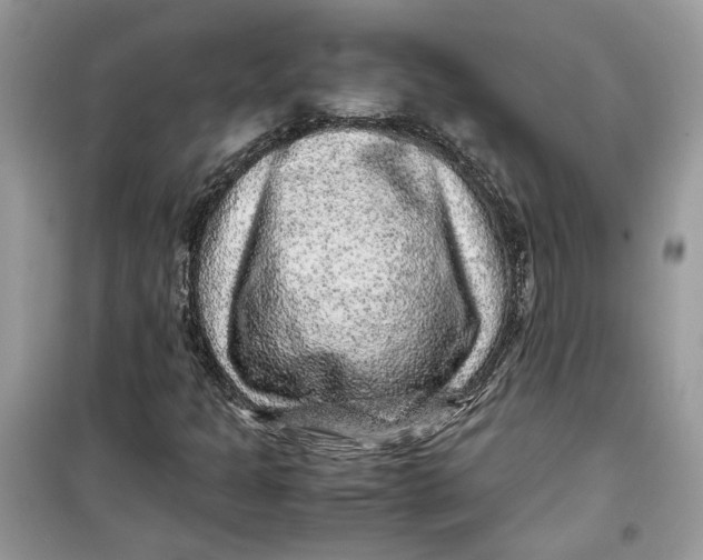 X0000099291301200805231311