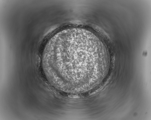 X0000099291302200805231312