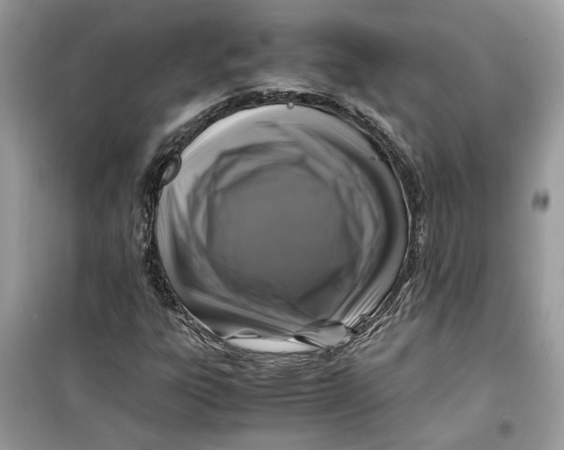 X0000099291303200805231312