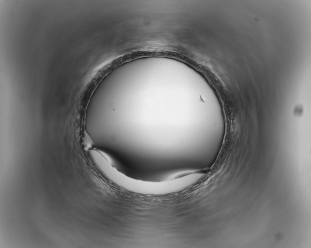 X0000099291304200805231312