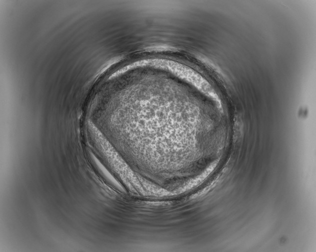 X0000099291305200805231312