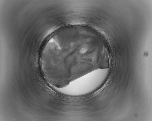 X0000099291306200805231312