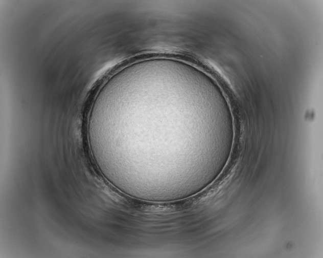 X0000099291307200805231312