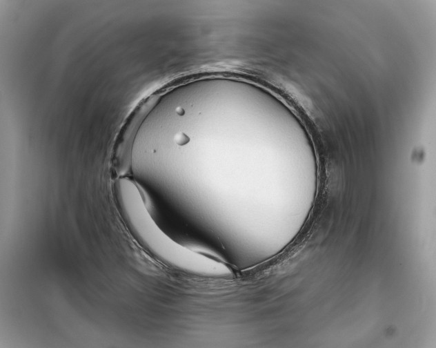 X0000099291308200805231312