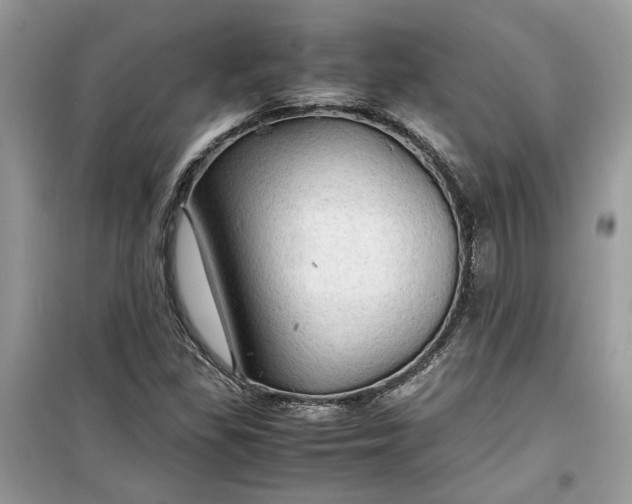 X0000099291309200805231312