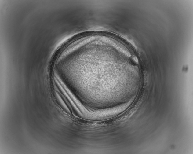 X0000099291311200805231312