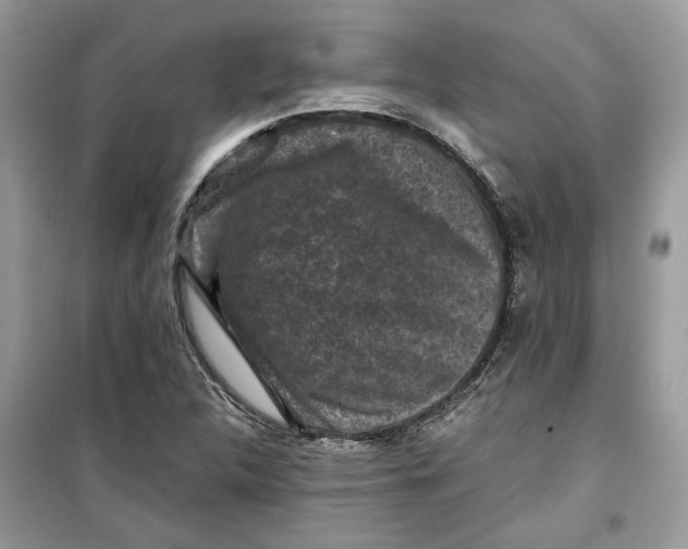 X0000099291312200805231312