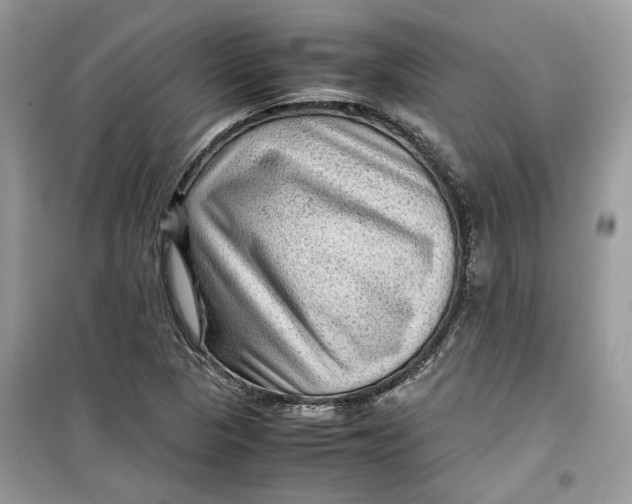 X0000099291313200805231312