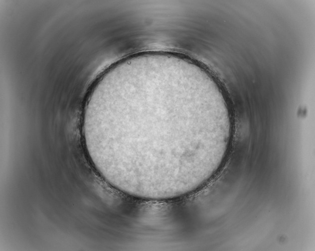 X0000099291314200805231312