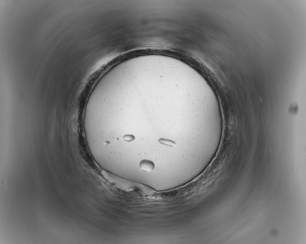 X0000099291315200805231312