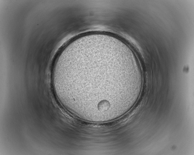 X0000099291318200805231312