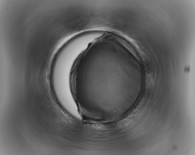 X0000099291319200805231312