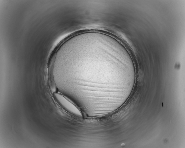 X0000099291320200805231312