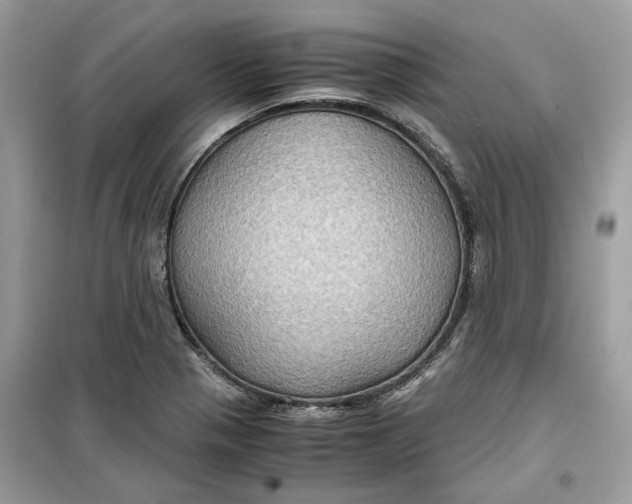 X0000099291321200805231312