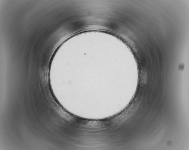 X0000099291322200805231312