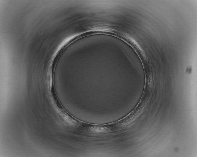 X0000099291323200805231312