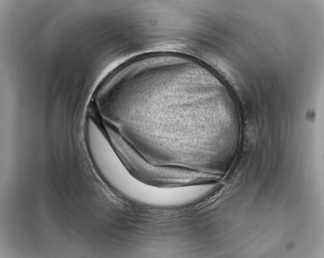 X0000099291324200805231312