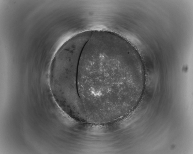 X0000099291326200805231312