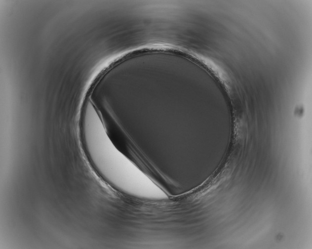 X0000099291327200805231312