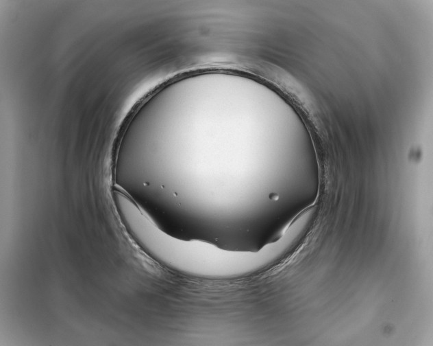 X0000099291328200805231312