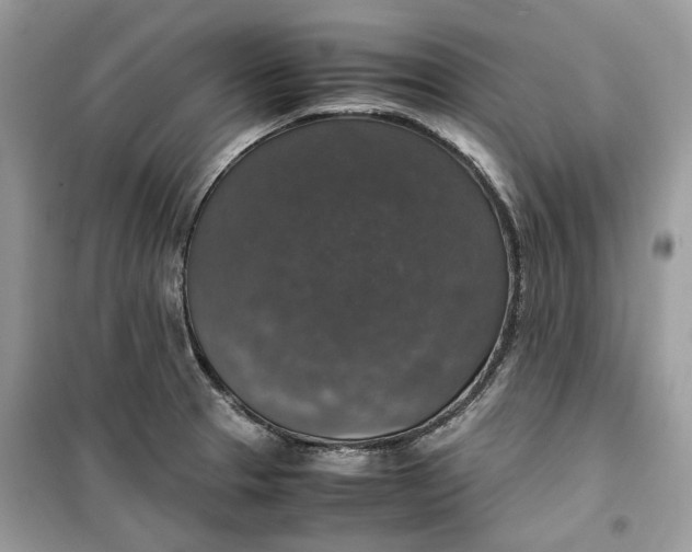 X0000099291329200805231312