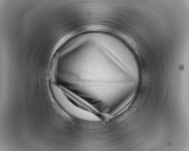 X0000099291330200805231312