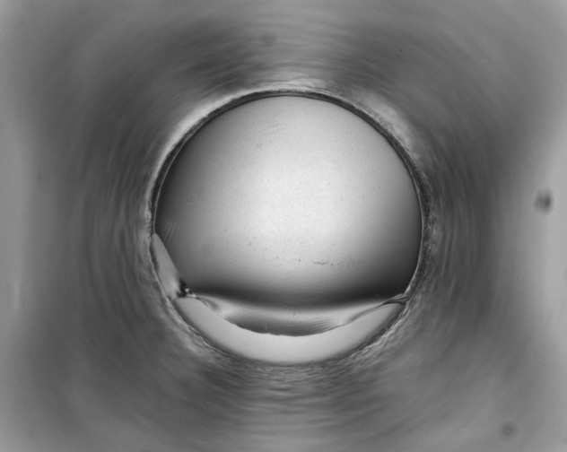 X0000099291332200805231312