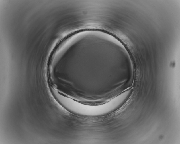 X0000099291334200805231312