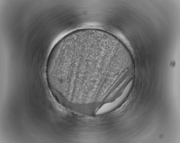 X0000099291336200805231312