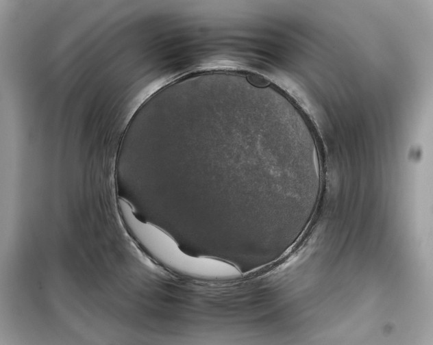 X0000099291337200805231312