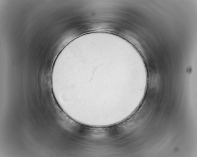 X0000099291338200805231312