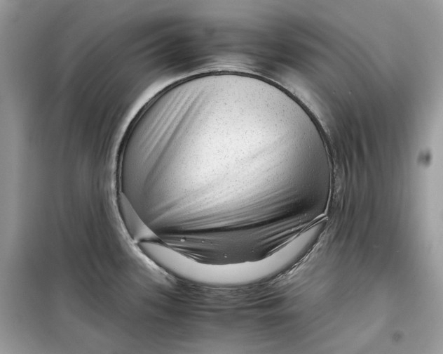 X0000099291339200805231312