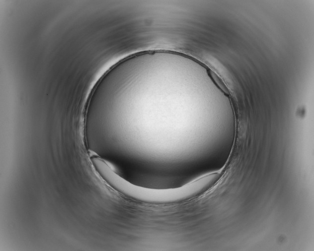 X0000099291340200805231312