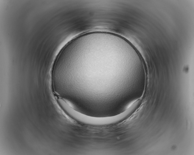 X0000099291341200805231312