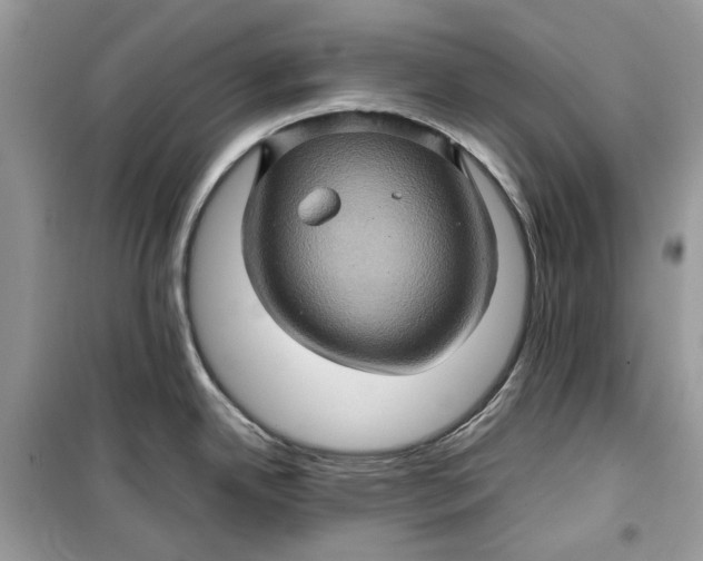 X0000099291342200805231312