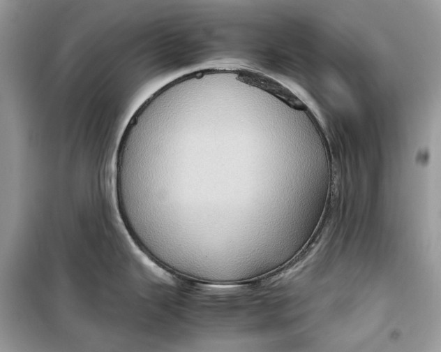 X0000099291343200805231312