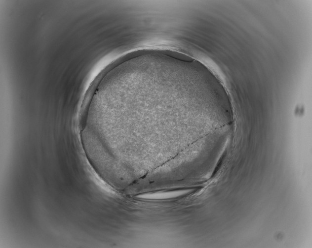 X0000099291344200805231312