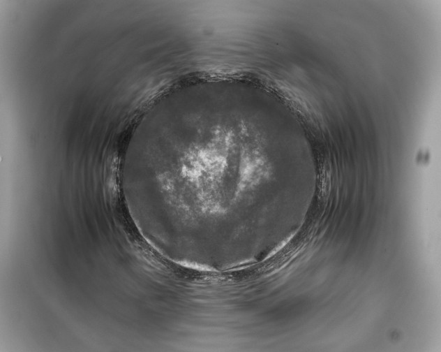 X0000099291346200805231311