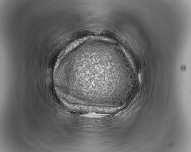 X0000099291347200805231311