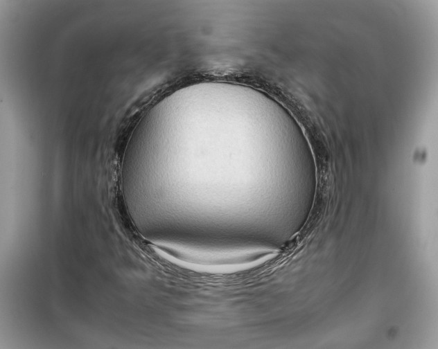 X0000099291349200805231311