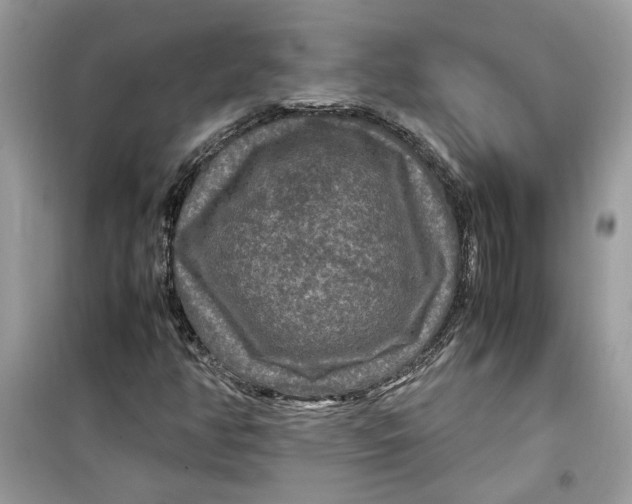 X0000099291350200805231311