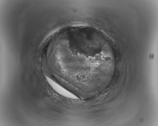 X0000099291351200805231311