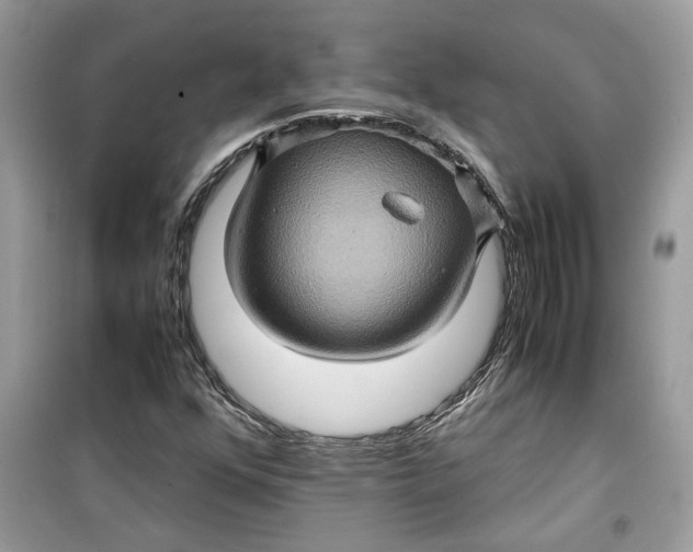 X0000099291352200805231311