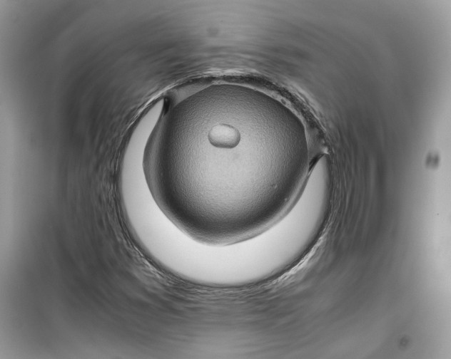 X0000099291353200805231311